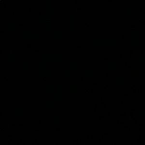 Meet your Posher, Ariel